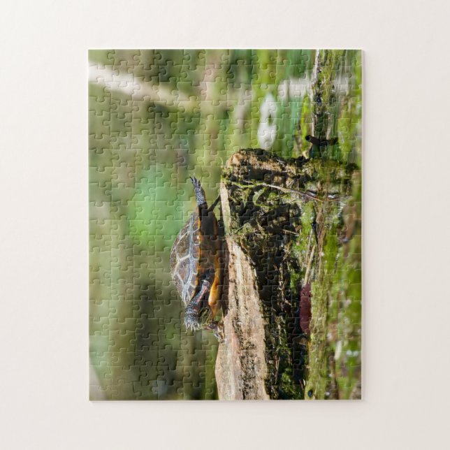 Quebra-cabeça "The Shy Turtle" 252 Piece Jigsaw Puzzle (Vertical)