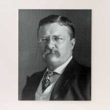 Theodore Roosevelt Presidente Ursinho Republicano