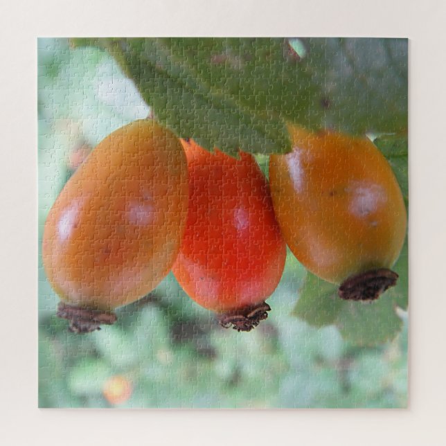 Quebra-cabeça Three orange rosehips (Vertical)