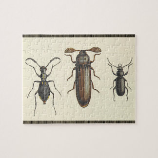 Quebra-cabeça Three Side-By-Side Insects Puzzle