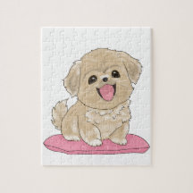 Tibetan Spaniel auf Kissen