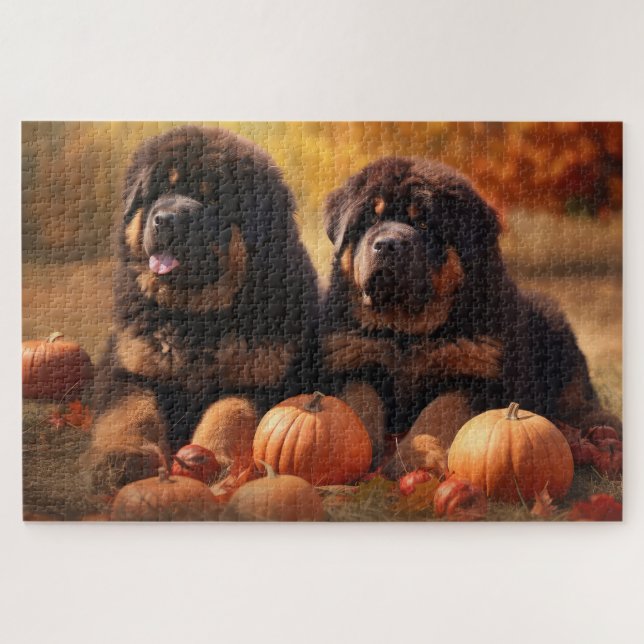 Quebra-cabeça Tibetano Mastiff Puppy Autumn Delight Pumpkin (Horizontal)