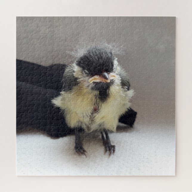 Quebra-cabeça Tidi, meu Pássaro, o Parus Major (Horizontal)