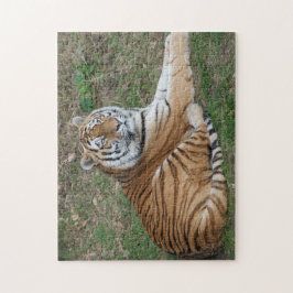 Quebra-cabeça Tiger