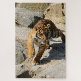 Quebra-cabeça Tiger_20190302_by_JAMFoto