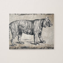 Tiger Vintage Wildlife Grunge Decorative