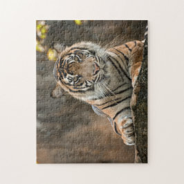 Quebra-cabeça Tigre