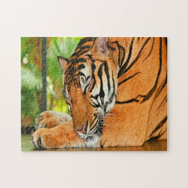 Quebra-cabeça Tigre Adormecido (Horizontal)