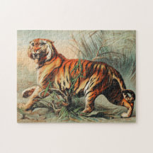 Tigre bengal real de John Karst