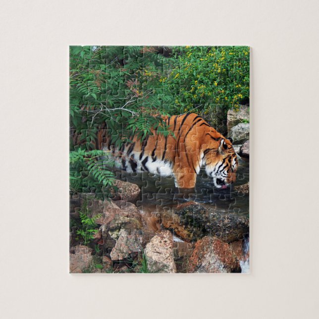 Quebra-cabeça Tigre de Bebendo de queda (Vertical)