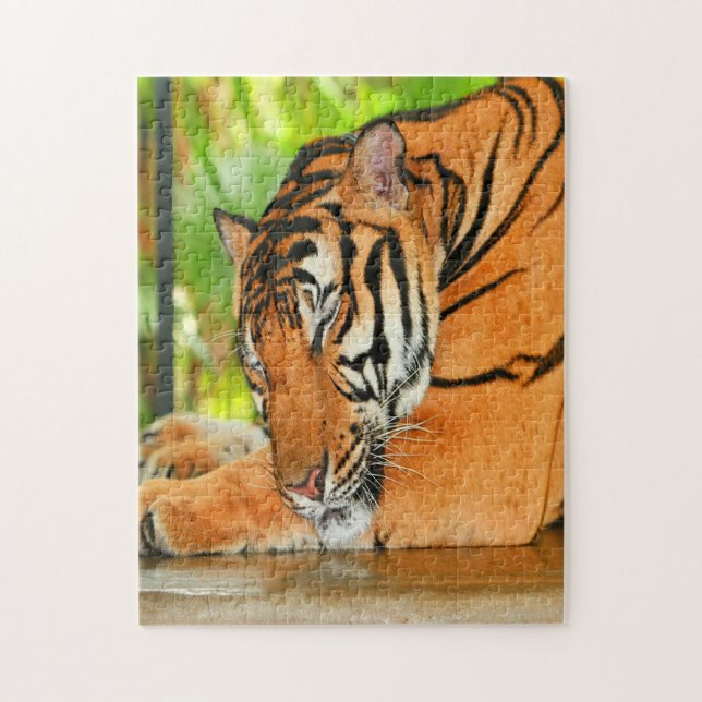 Quebra-cabeça Tigre de dormir (Vertical)