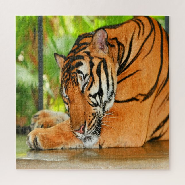 Quebra-cabeça Tigre de dormir (Vertical)