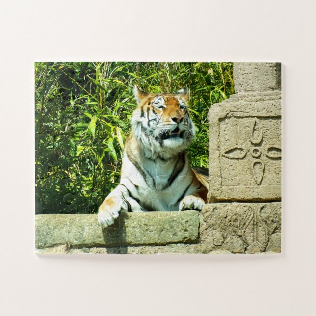 Quebra-cabeça Tigre no templo (Horizontal)