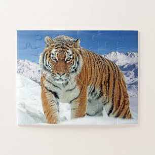 Quebra-cabeça Tigre Tiger Snow Mountains Foto Animal