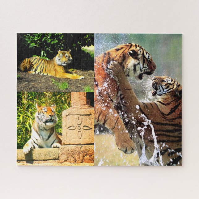 Quebra-cabeça Tigres (Horizontal)