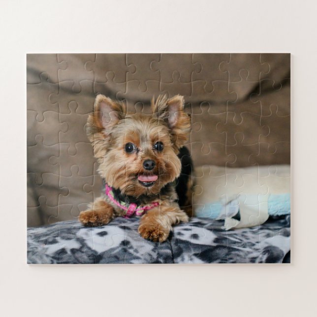 Quebra-cabeça Tiny Dynamo (Horizontal)