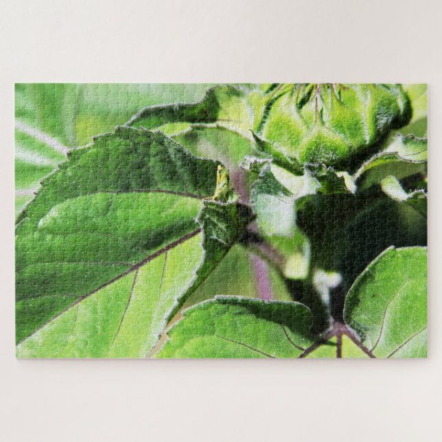 Quebra-cabeça Tiny Mantis (Horizontal)