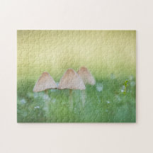 Tiny Mushroom Nature Foto