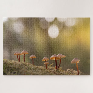 Quebra-cabeça Tiny Mushroom Nature Foto