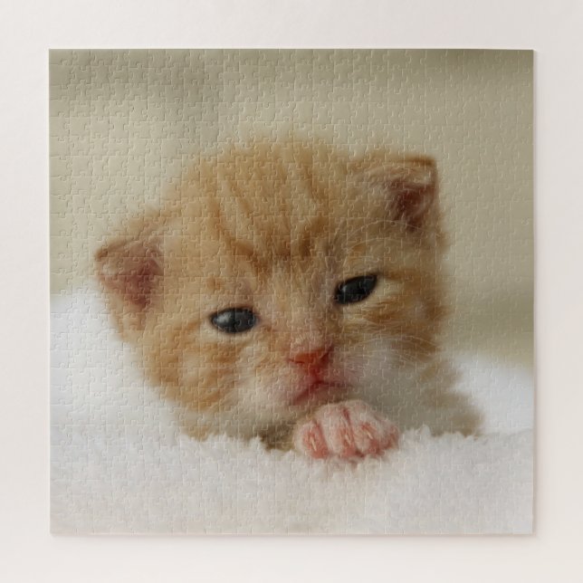 Quebra-cabeça Tiny Orange Kitten (Vertical)