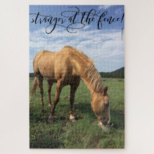 Quebra-cabeça Tipografia "Stranger At Fence", Foto De Cavalo