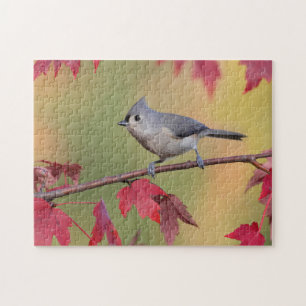 Quebra-cabeça Titmice adornados