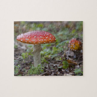 Quebra-cabeça Toadstool do Agaric de mosca