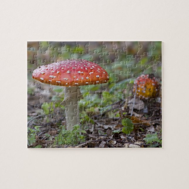 Quebra-cabeça Toadstool do Agaric de mosca (Horizontal)
