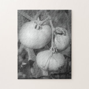 Quebra-cabeça Tomates De Natureza Preta E Branca