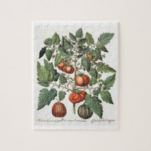 Quebra-cabeça Tomates e melões: luteo do fructu dos amoris