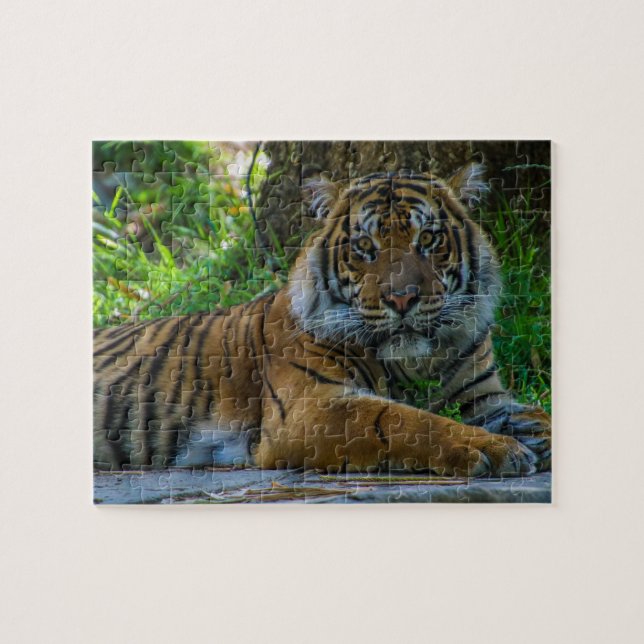 Quebra-cabeça Tony (Horizontal)