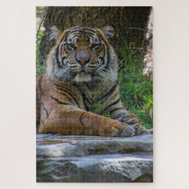 Quebra-cabeça Tony (Vertical)