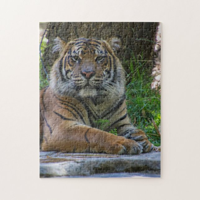 Quebra-cabeça Tony (Vertical)