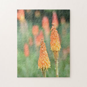 Quebra-cabeça Torch Lily Red Hot Poker Fotografia da Natureza