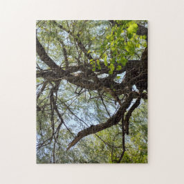 Quebra-cabeça Torres e Árvores Selvagens Curvas