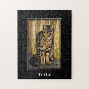 Quebra-cabeça Tortie - Tortoisesinfere Cat - Pet Photography