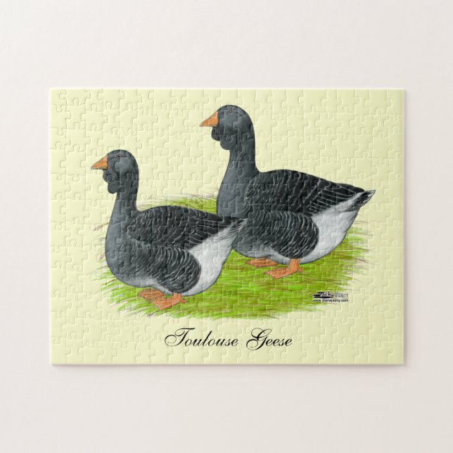 Quebra-cabeça Toulouse Dewlap Geese (Horizontal)