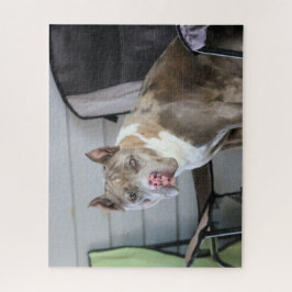 Quebra-cabeça Touro