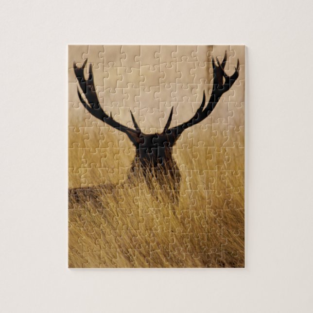 Quebra-cabeça Traço no pincel - 8x10 - 110 peças (Vertical)