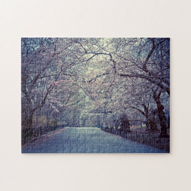 Quebra-cabeça Trajeto da flor de cerejeira do Central Park (Horizontal)