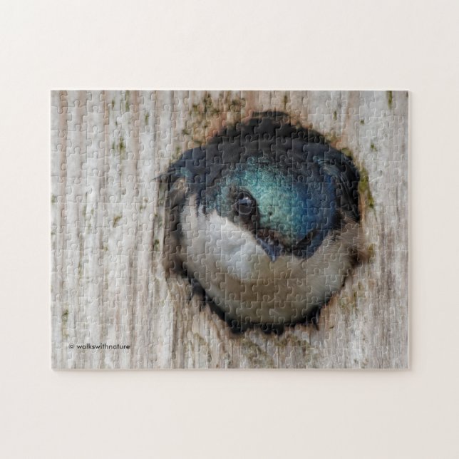 Quebra-cabeça Tree Swallow em uma Nestbox (Horizontal)