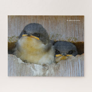 Quebra-cabeça Tree Swallows olhando para o Mundo Grande