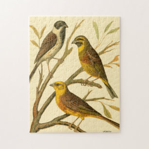 Quebra-cabeça Três Aves Domésticas Perecidas num Ramo