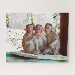 Quebra-cabeça Três Macacos Juntos Selvagem