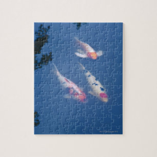 Quebra-cabeça Três peixes japoneses do koi na lagoa
