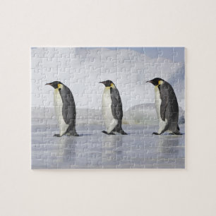 Quebra-cabeça Três pinguins de imperador, ilha do monte da neve