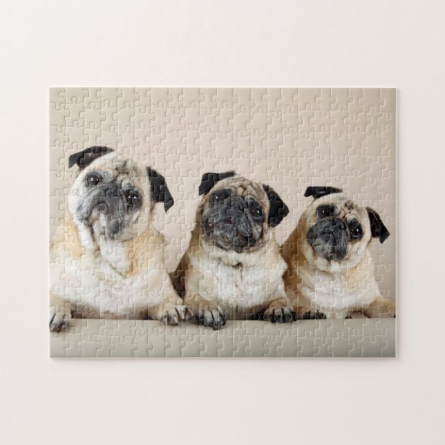 Quebra-cabeça Três Pugs Em Uma Linha (Horizontal)