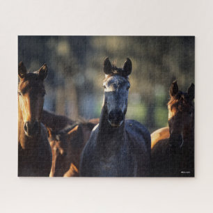 Quebra-cabeça Três Warmbloods juntos com iluminação traseira