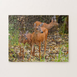 Quebra-cabeça Trio Impressionante de Negra Deer na Floresta