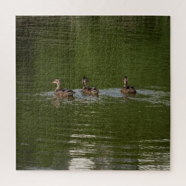 Quebra-cabeça Trio of Ducks (Vertical)